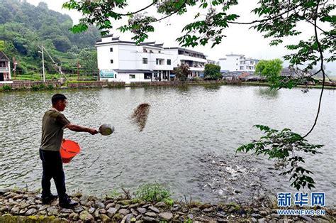 中國第一村